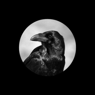 Telegram profile photo for 文迪-迪拜生活馆