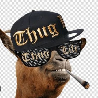 Telegram profile photo for Mr Crypto Degen