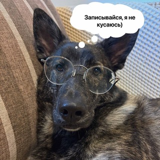 Telegram profile photo for Made in st.Petersburg