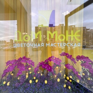 Telegram profile photo for ДОМ МОНЕ