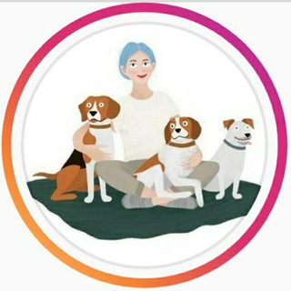 Telegram profile photo for Задай вопрос ЛавГав