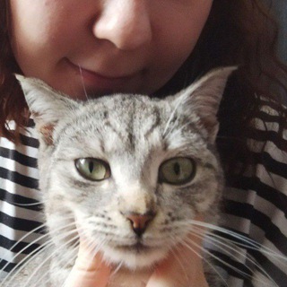 Telegram profile photo for сомачмани