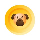Telegram profile photo for Beardog_ANN
