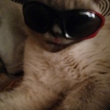 Telegram profile photo for UMKA UA News