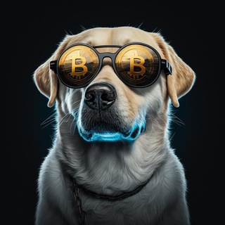 Telegram profile photo for Crypto_bulldog