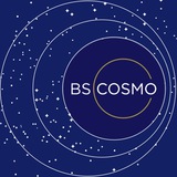 Telegram profile photo for BSCOSMO market RUS