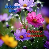 Telegram profile photo for Экуменические апокрифы📜🪔📚💡🌎🌕✨