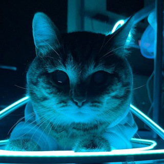 Telegram profile photo for Кейсы DM