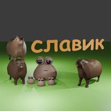 Telegram profile photo for канал славика