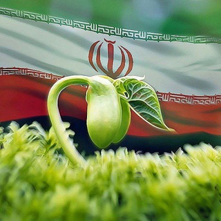 Telegram profile photo for دبیرستان رویان | رویش و بالندگی