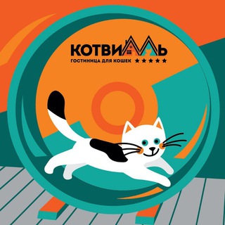 Telegram profile photo for "Котвилль" гостиница для кошек Санкт-Петербург