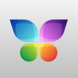 Telegram profile photo for Earn