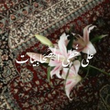 Telegram profile photo for على خُطى الصَّحَابِيَّات ﮼