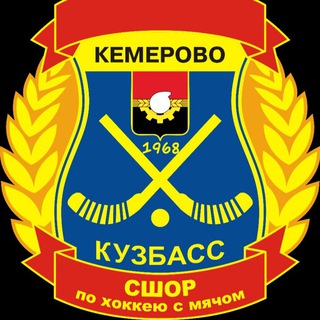 Telegram profile photo for СШОР по хоккею с мячом (Кемерово)