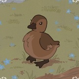 Telegram profile photo for я Піі пі тьолка!