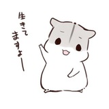 Telegram profile photo for testi @mhoshi