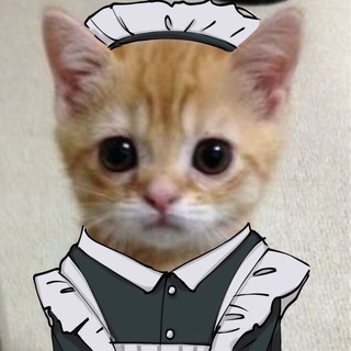 Telegram profile photo for Кисьи Мемы 🐱