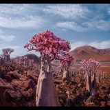 Telegram profile photo for خواطر مهندس