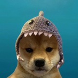 Telegram profile photo for Shark Dog $SD