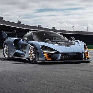Telegram group profile photo for WS SENNA NUMBER ONE