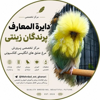 Telegram profile photo for مرغ عشقهای زیبا
