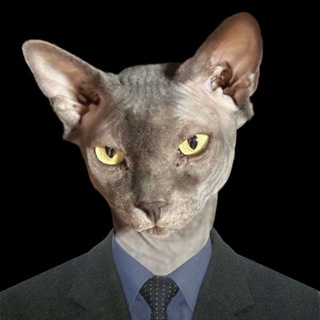 Telegram profile photo for SeMeM