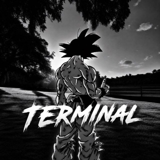 Telegram profile photo for terminal🔜