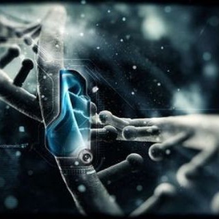 Telegram profile photo for Medicina