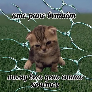 Telegram profile photo for Coffee all size 69¢
