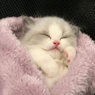 Telegram profile photo for переезд