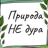 Telegram profile photo for Природа НЕ дура