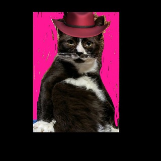 Telegram profile photo for Pro новостройки Москвы