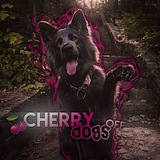 Telegram profile photo for ИГРЫ С ВИШНЕВЫМИ🍒