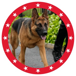 Telegram profile photo for MAGA DOG - $ATLAS
