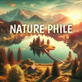 Telegram profile photo for NATURE PHILE