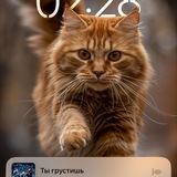 Telegram profile photo for VPNP