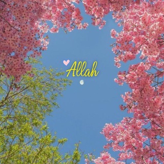 Telegram profile photo for احبـك يا ربـے