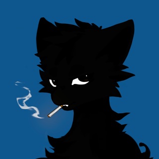 Telegram profile photo for Soup-o-Stat 🔧