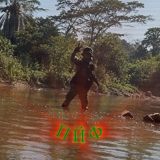 Telegram profile photo for pifnbnd