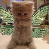 Telegram profile photo for переходник🦋