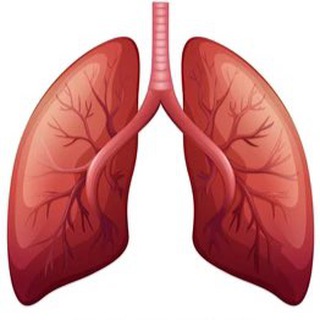 Telegram profile photo for Respiratory Therapy 🫁 العلاج التنفسي