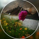Telegram profile photo for Varmaz / وَرمَز
