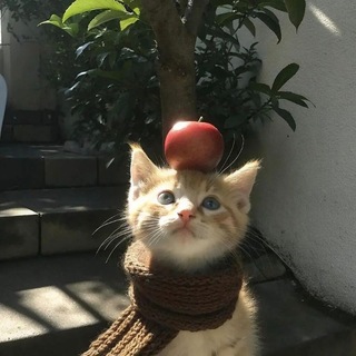 Telegram profile photo for 落日文案馆