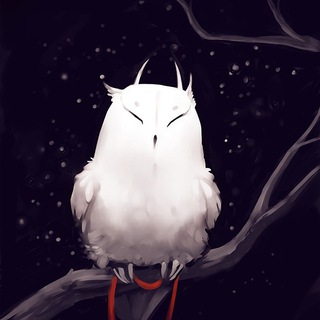 Telegram profile photo for FSG OWL FAMILY | i.iowl