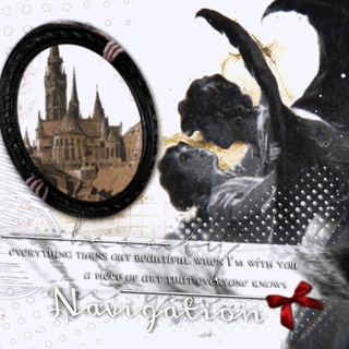 Telegram profile photo for 𝙸𝙽𝙵𝙾 𝚂𝚝𝚊𝚛𝚛𝚢 𝙰𝚐𝚎