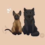 Telegram profile photo for Двойной Драйв