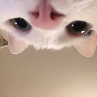 Telegram profile photo for 𝘉𝘰𝘛