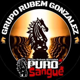 Telegram profile photo for Jornal Puro Sangue - Grupo Rubem Gonzalez