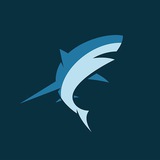 Telegram profile photo for COINS DIRECTORY