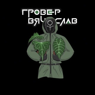 Telegram profile photo for Гровер Вячеслав | Блог о жизни растениевода